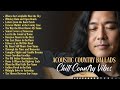 Country Charm Nights Simple Calm True Hopeful Acoustic Guitar