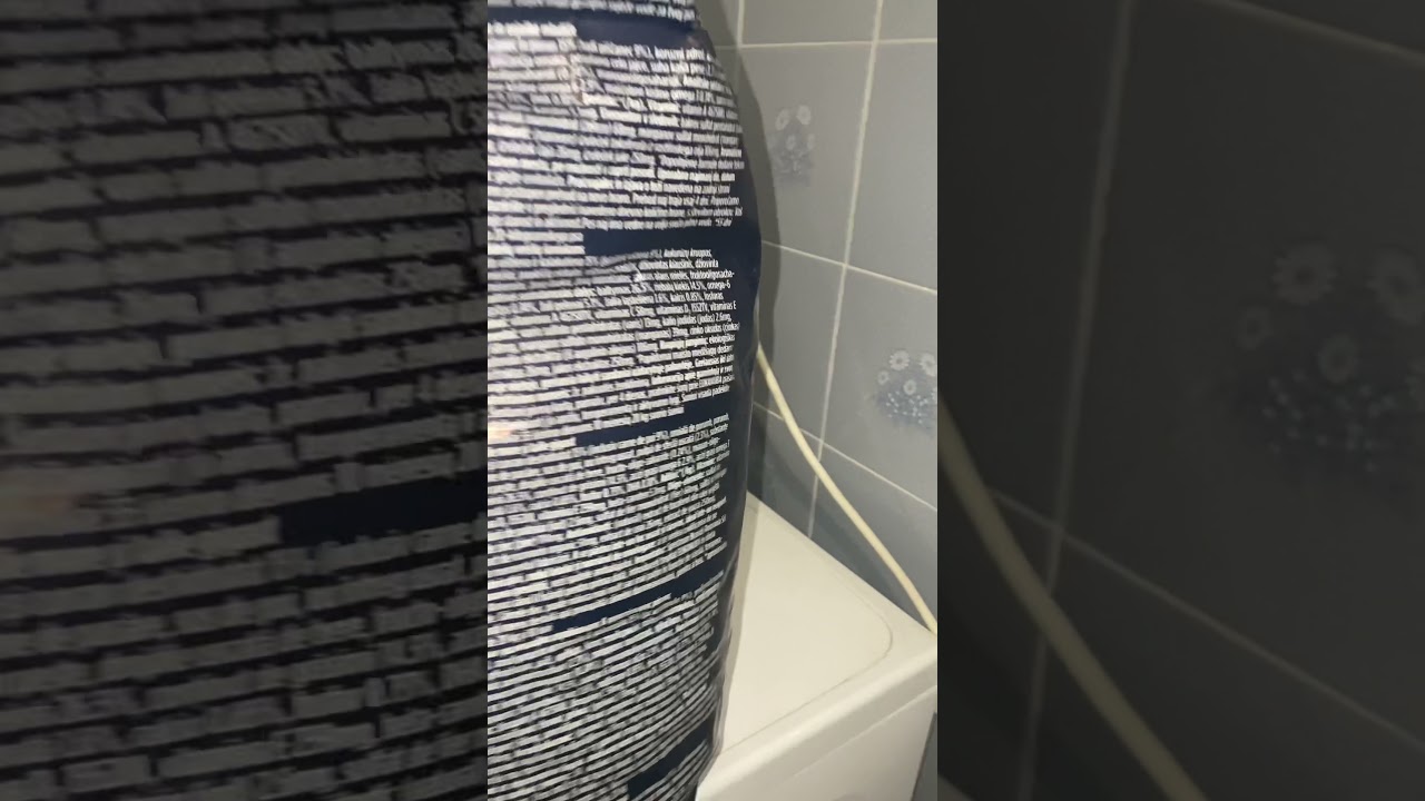 Eukanuba Growing Puppy Large Breed para Cachorro de Grande porte da Zoomalia