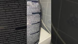 Eukanuba Growing Puppy Large Breed para Cachorro de Grande porte da Zoomalia