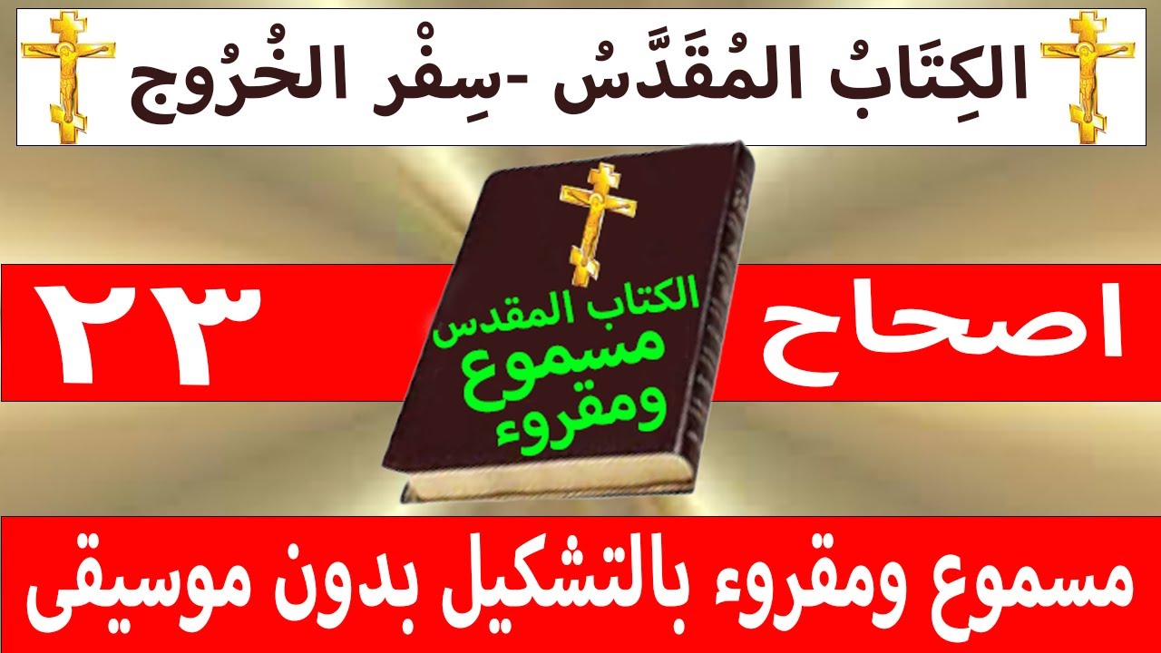 فيديو تفسير الكتاب المقدس | الكتاب المقدس رفيقي