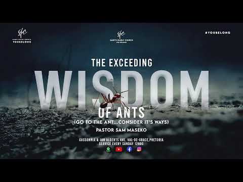 The Exceeding Wisdom Of Ants (Go to the Ant…Consider its ways) Part 1