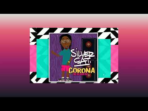 Dj Leeyo ~ Silver Cat ~ Corona Remix