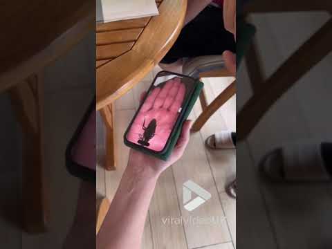 Magician performs crazy trick with virtual cockroach || Viral Video UK
