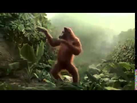 Videos musica e engracados