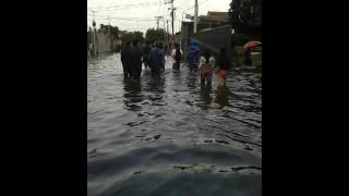 preview picture of video 'Banjir Pesing poglar'