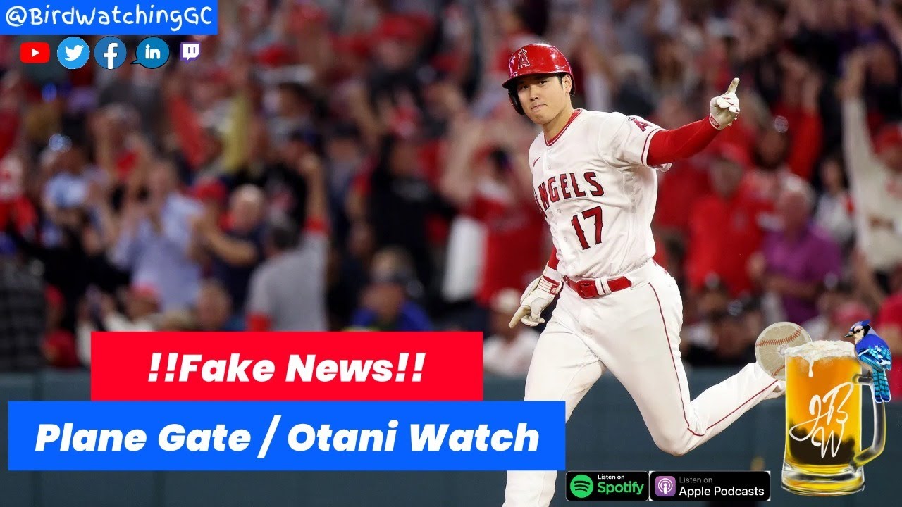 Ohtani Plane Gate and The Following Heartbreak