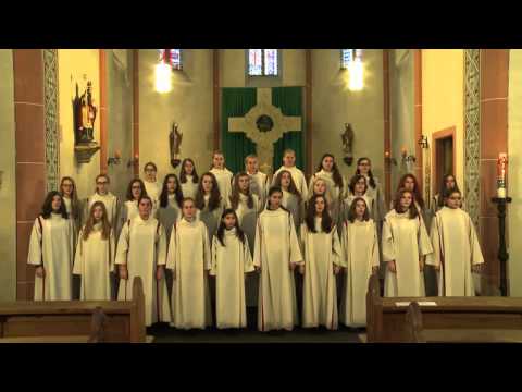 Gotteslobvideo (GL 484): Dank sei dir, Vater, für das ewge Leben