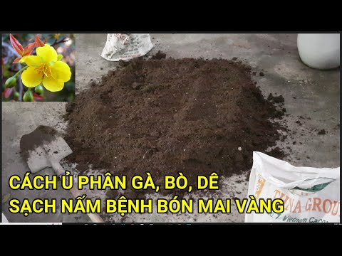 🔴 QBS22309 - CÁCH Ủ PHÂN GÀ HOAI MỤC | CÁCH Ủ PHÂN BÒ HOAI MỤC |CÁCH Ủ PHÂN DÊ HOAI MỤC |PHÂN HỮU CƠ