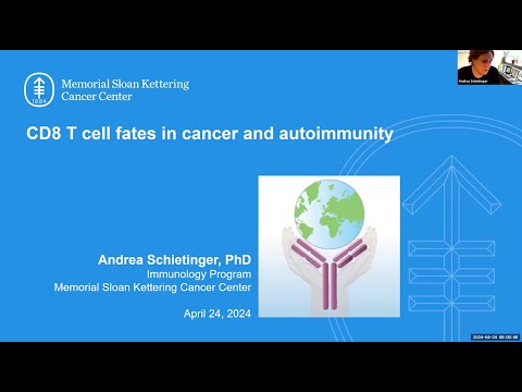 "CD8 T cell fates in cancer and autoimmunity" by Dr. Andrea Schietinger