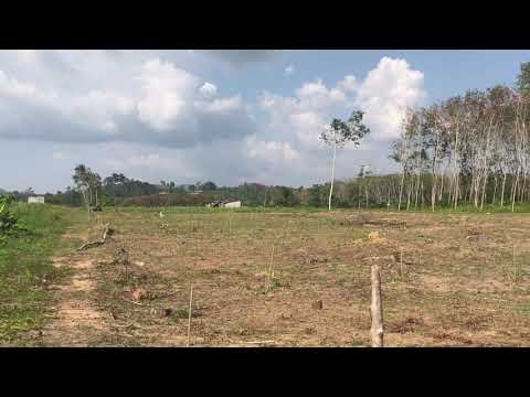 Ten Rai Land Plot for Sale  in Phang Nga Near the Sarasin Bridge