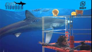 DIA 3 Expo Tiburon152