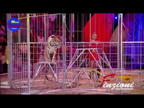 Tigri Carmen Zander 2