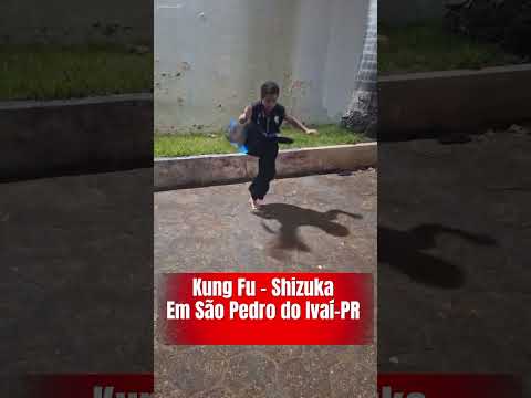 Kung Fu shizuka em São Pedro do Ivaí no Paraná.