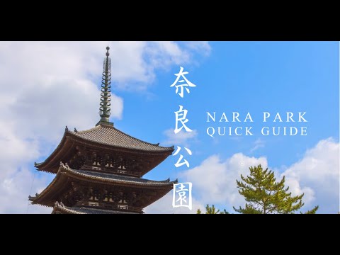 奈良公園NaraPark