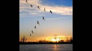 Migratory V- Myths and Hymns- Adam Guettel