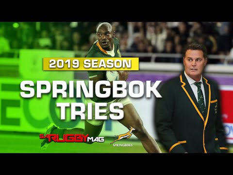 2019 Springbok Tries
