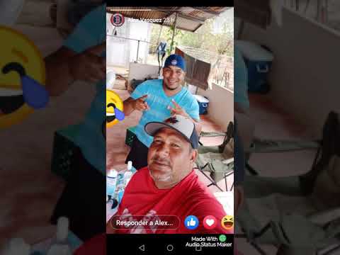 Chistes de alex el de lalito vol4 el minino y focho