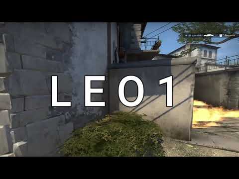 Leo1 - 4k