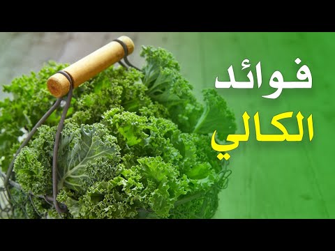 ما هي فوائد الكالي ؟