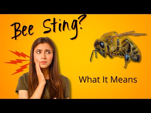 🐝Bee Sting Meaning/Bee Venom Symbolism - What does it mean to get a bee sting?