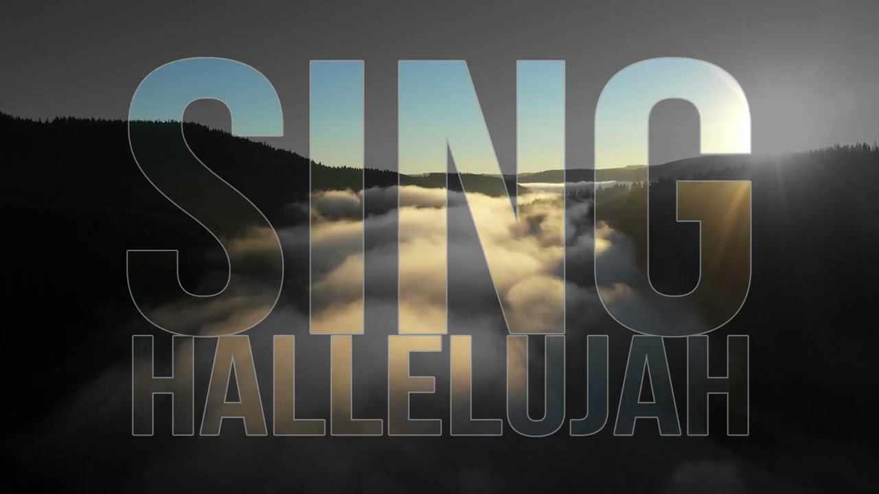 Promotional video thumbnail 1 for Jay Davids