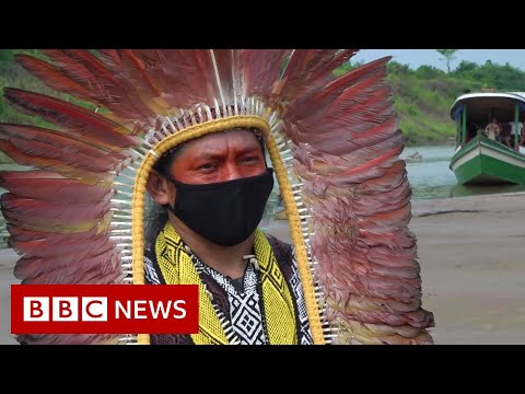 亞馬遜雨林。"為不尊重自然付出代價" - BBC新聞 (Amazon rainforest: 'Paying the price for disrespecting nature' - BBC News)