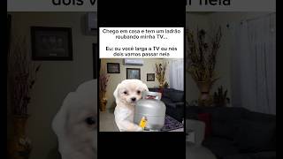 ⠀【 QUICO ZAO 】817⠀