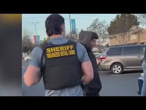 Sacramento deputies arrest 21 people in retail theft operation