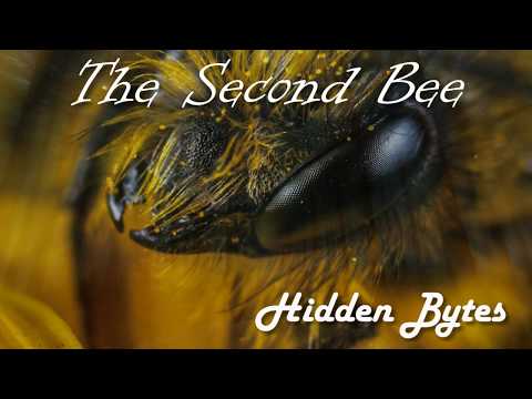 Hidden Bytes - The Second Bee