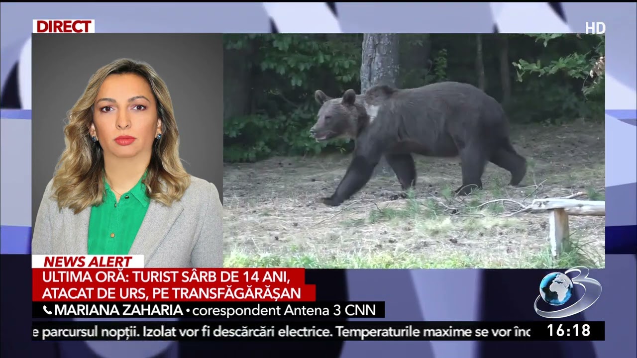 Un copil de 14 ani a fost atacat de urs, pe Transfăgărășan