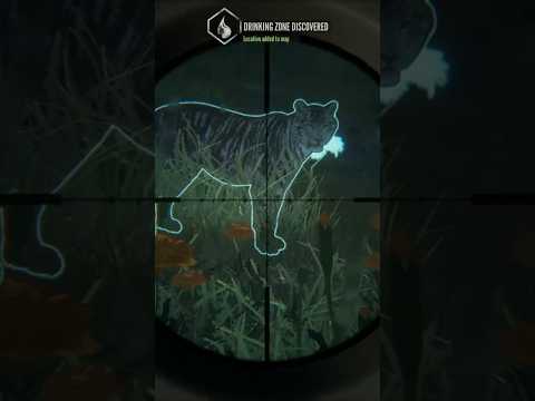 RARE! Pseudo-Melanistic white bengal tiger!! | theHunter: Call of the Wild