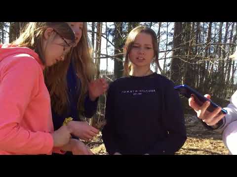 6 tuntia yöllä  Tiktokissa