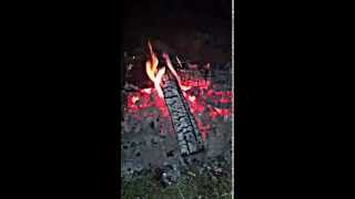 Casey Lynn Barr- Release Me