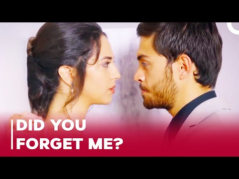 Ozan and Aslım Special Scenes Part 45 | Can't Stop Loving You