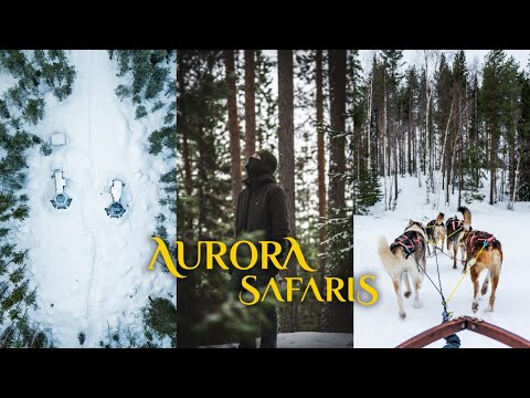 Aurora Safari Camp thumbnail