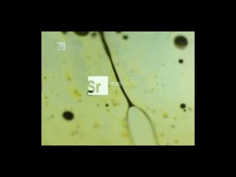 Discovery Science Channel - Jingle Ident (2008)