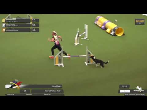 World championship 2024 Belgium  - Agility individual intermediate Valerie Shadow od Aire