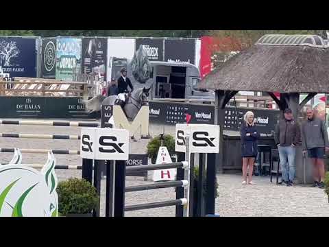 Daddy Cool Ter Linden Z