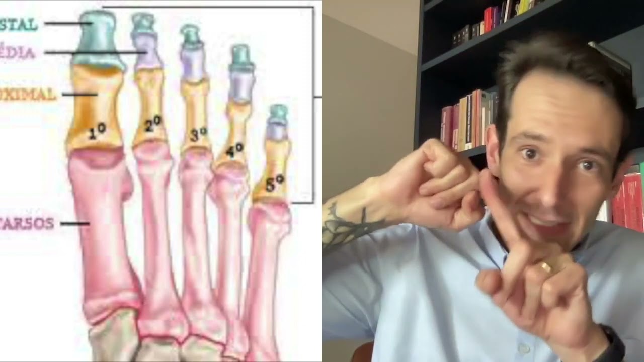 ANATOMIA DO PÉ E TORNOZELO - MÚSCULOS E BIOMECÂNICA DO PÉ E TORNOZELO