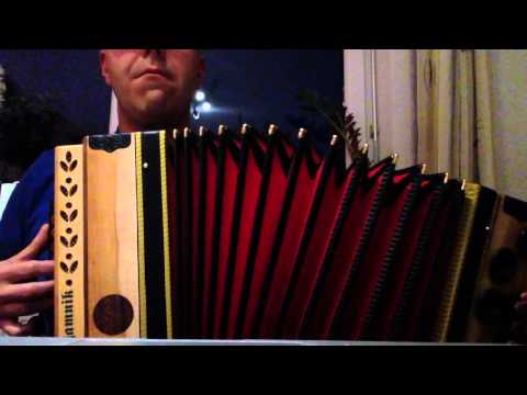Der Mondscheinige - steirische Harmonika - Martin Pirschner