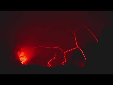 One Riff A Day Keeps The Doctor Away 028 - NaLex Amplex Barbarian