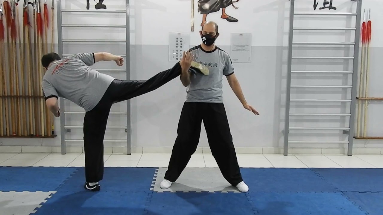 Tai Chi Chuan - Vídeo 25 - Aplicações do Fechar o Tai Chi