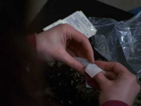 Freaks & Geeks linday´s scene drugs