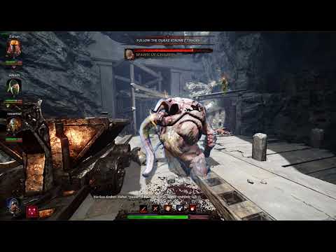 Vermintide 2 Chaos Spawn kill (: