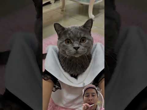 Kimmy jadi punya teman baru ‼️