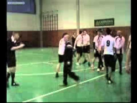 La favola dei 12 leoni