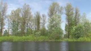preview picture of video 'КЛИП р.СНОВ-2010 БАЙДАРКИ GerasimovKM.'