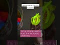 Creative Glow In the Dark Easter egg hunt Idea!! #shorts