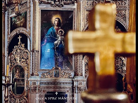 PĂRINTE, CARE ESTE ADEVĂRUL LEGAT DE CALUL CHINUIT ÎN TINEREȚE? - PĂRINTELE CALISTRAT CHIFAN