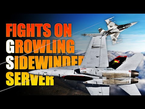 F/A-18 Fighting on Growling Sidewinder Server | DCS | PvP Multiplayer | Amazing Graphics